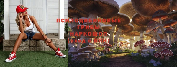 спиды Алексин