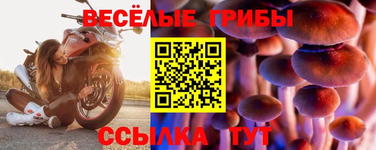 Псилоцибиновые грибы мицелий  Псилоцибиновые грибы MAGIC MUSHROOMS  Вход с VPN  Кызыл 