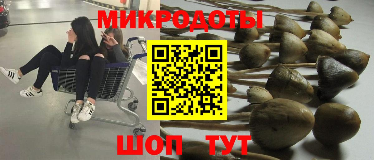 Галлюциногенные грибы мухоморы Кызыл